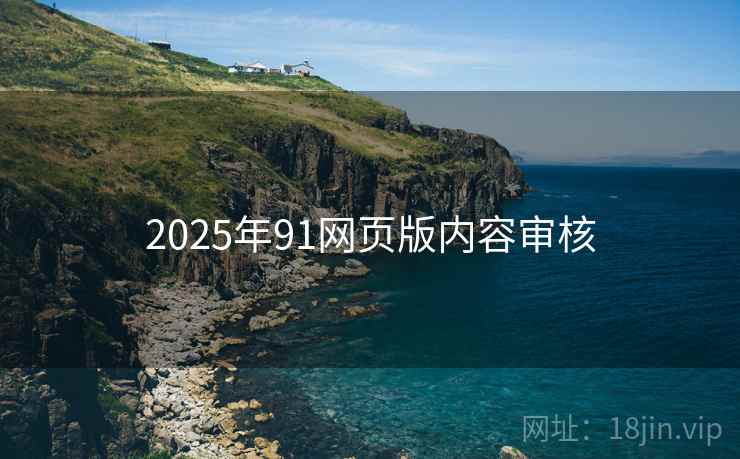 2025年91网页版内容审核