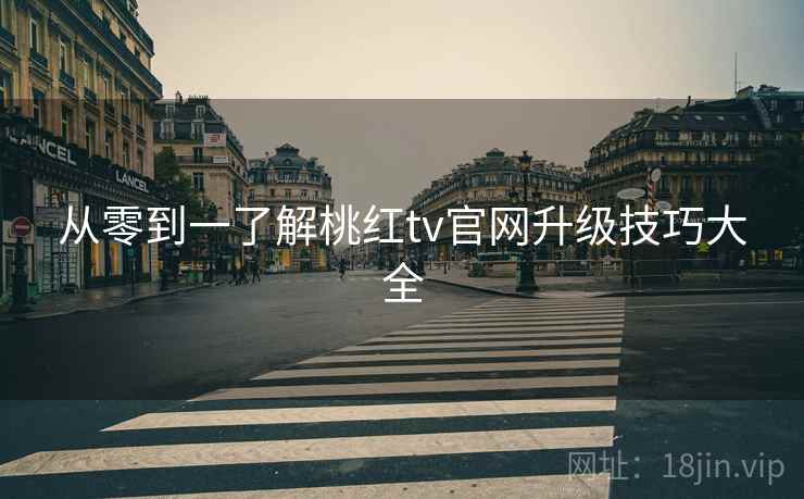 从零到一了解桃红tv官网升级技巧大全