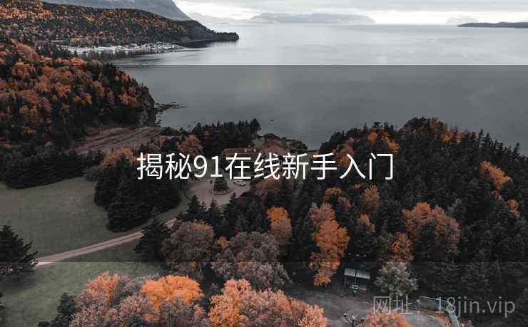 揭秘91在线新手入门