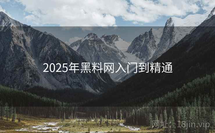2025年黑料网入门到精通