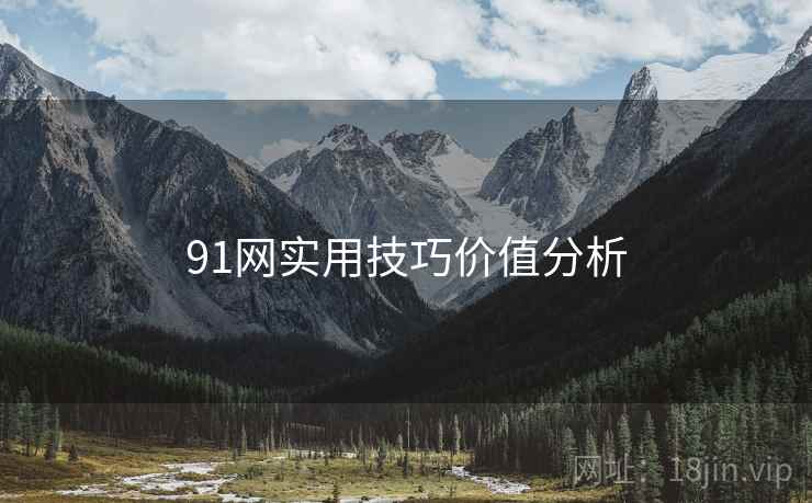 详细阅读:91网实用技巧价值分析 91网实用技巧价值分析