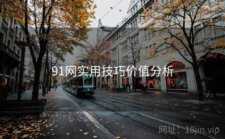 91网实用技巧价值分析